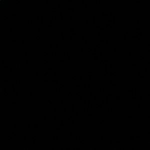 Meet your Posher, Ariana